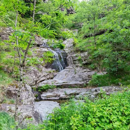Camping Dôme Glamping Sous Les étoiles, Rivière, Animaux, Douche Ambiance Bali, Cévennes Vialas